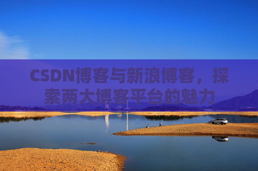 CSDN博客与新浪博客，探索两大博客平台的魅力